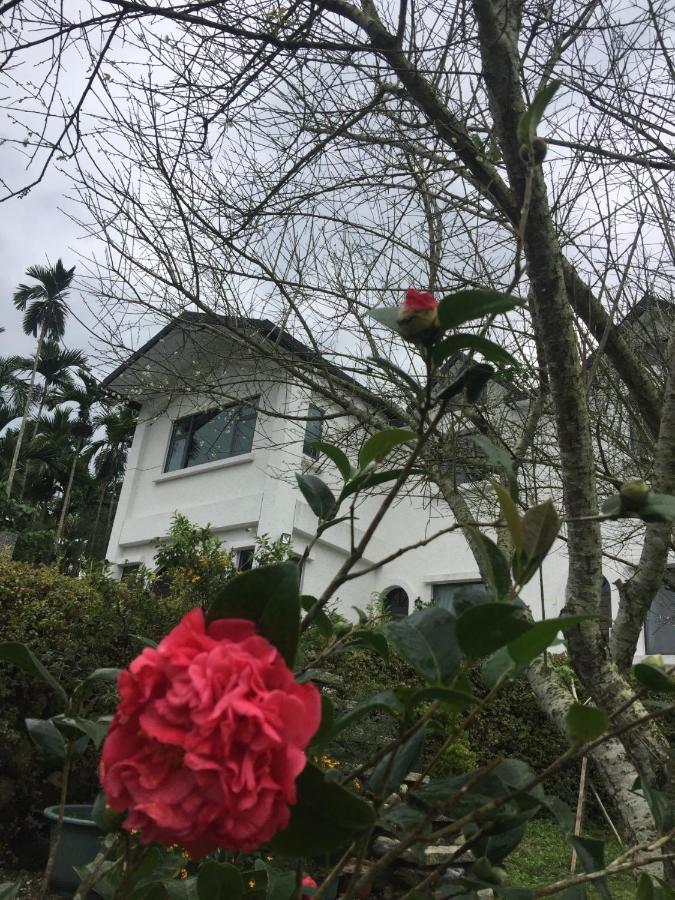 Wuju Wusu B&B Wenlan エクステリア 写真