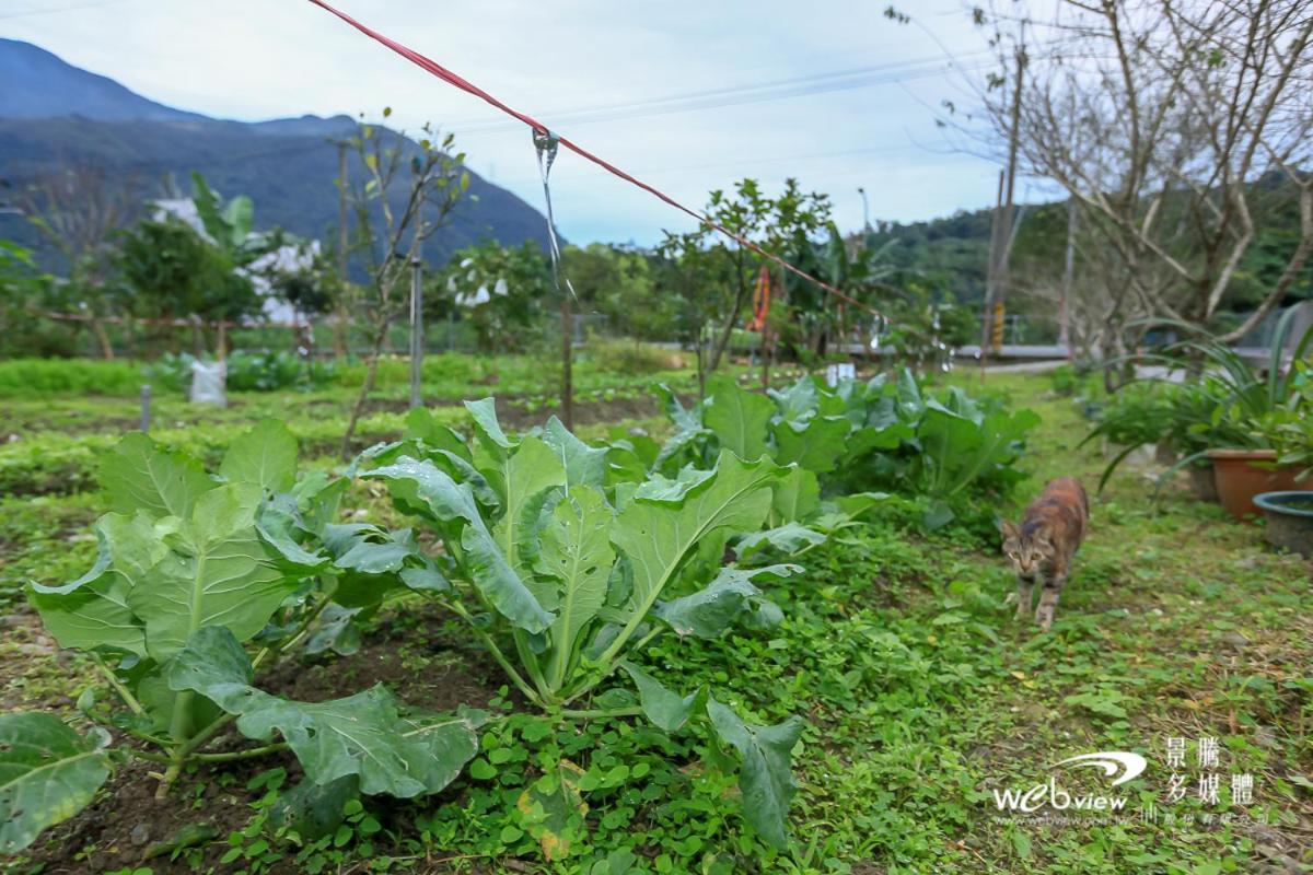 Wuju Wusu B&B Wenlan エクステリア 写真